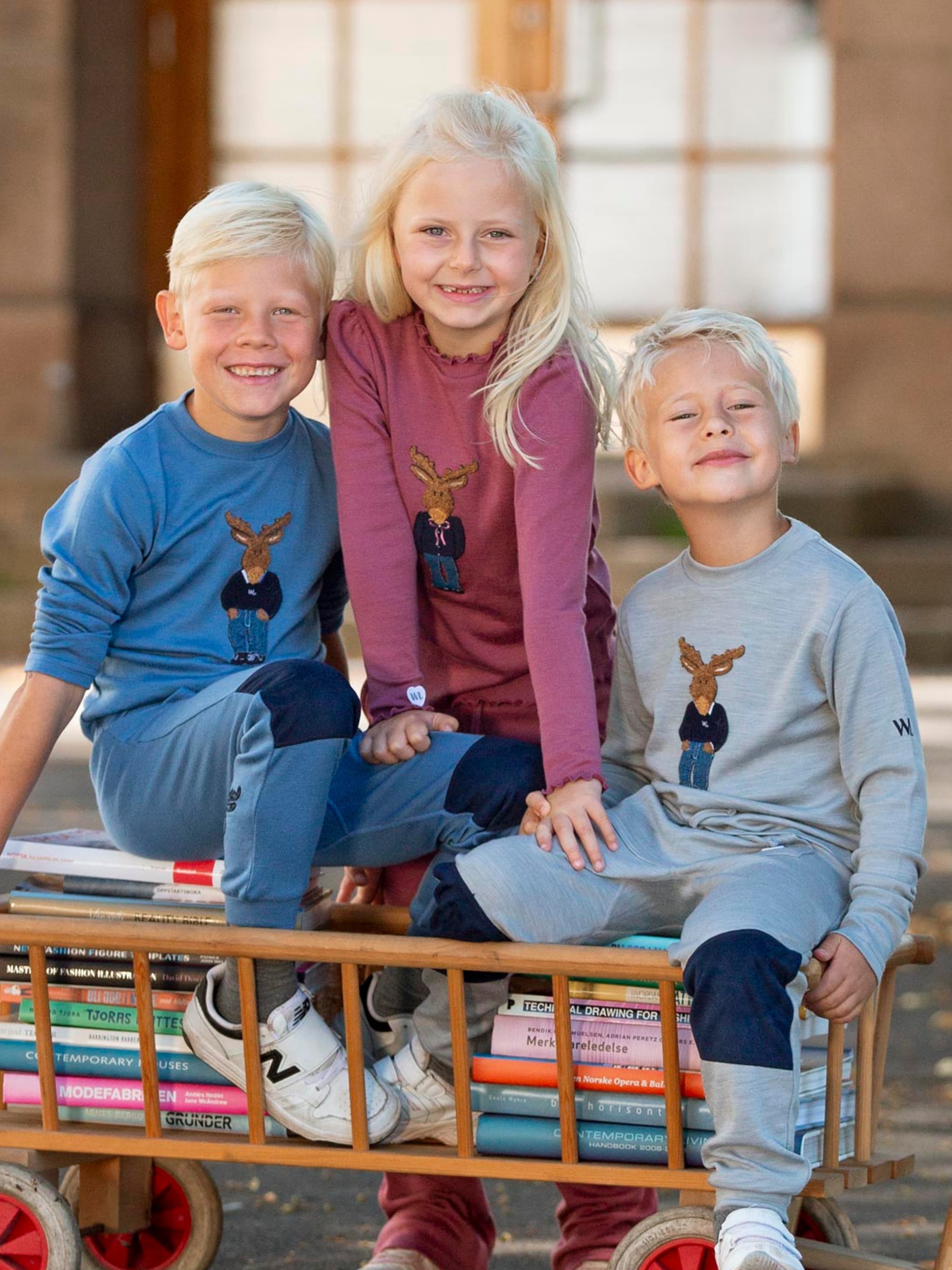 Harpefossen Merino Sweater Grey Melange